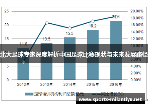 北大足球专家深度解析中国足球比赛现状与未来发展路径